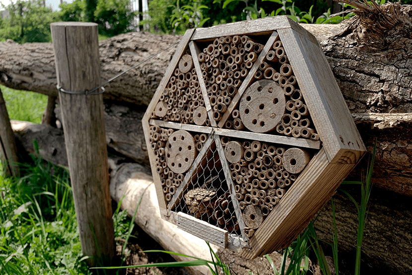 Foto van het insectenhotel bij het Offshore Expertise Centrum